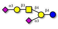GD1a Ganglioside...