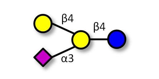 GM2 Ganglioside oligosaccharide analogue Analytical grade - GLY111-80%