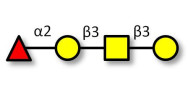 Blood group H antigen...