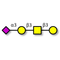 Stage-Specific Embryonic Antigen-4 tetraose (SSEA-4 tetraose) Analytical grade