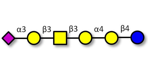 Stage-Specific Embryonic Antigen-4 hexaose (SSEA-4 hexaose) Analytical grade - SSEA-4