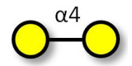 α1-4 galactobiose...