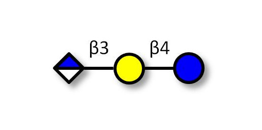 Glucuronyl-lactose Analytical grade - HNK 1 epitope precursor