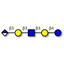 Glucuronyl-Lacto-N-tetraose Analytical grade