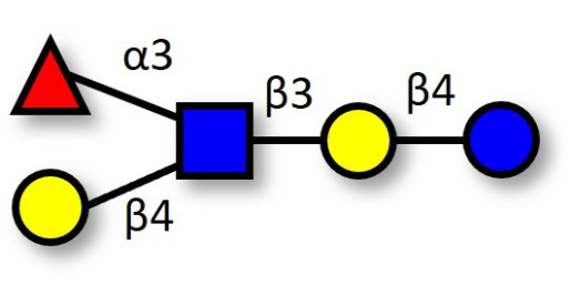 Lacto-N-fucopentaose III (LNFP III) Analytical grade - Lewis x pentaose
