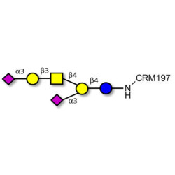 GD1a Ganglioside oligosaccharide grafted on CRM197