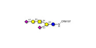 GD1a Ganglioside...