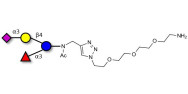 LNnT-β-N-acetyl-propargyl