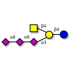 GT2 Ganglioside oligosaccharide (>80% NMR)