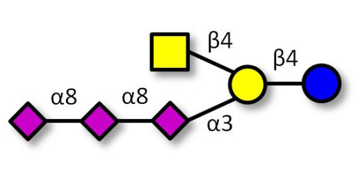 GT2 Ganglioside oligosaccharide (>80% NMR)