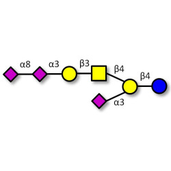 GT1a Ganglioside oligosaccharide  (>90% NMR)