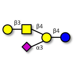 GM1a Ganglioside oligosaccharide (>95% NMR)