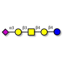 GM1b Ganglioside oligosaccharide (>90% NMR)