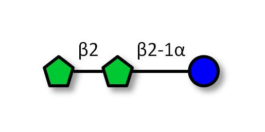 1-Kestose (DP3) / GF2 (>95% HPAEC-PAD)