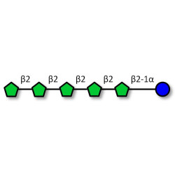Fructo-oligosaccharide DP6 / GF5 (>95% HPAEC-PAD)