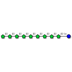 Fructo-oligosaccharide DP10 / GF9 (>90% HPAEC-PAD)