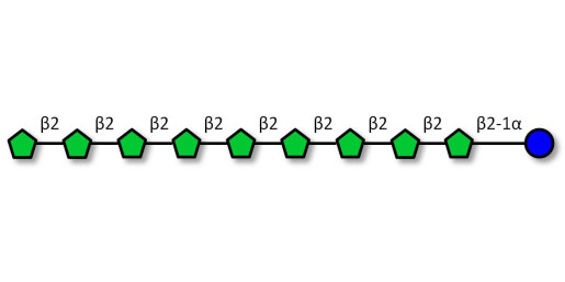 Fructo-oligosaccharide DP10 / GF9 (>90% HPAEC-PAD) - Fructodecasaccharide