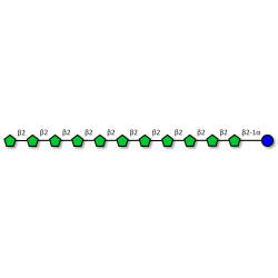Fructo-oligosaccharide DP12 / GF11 (>90% HPAEC-PAD)