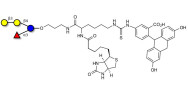 α-3-Galactosyl-3-Fucosyllac...