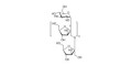 Fructo-oligosaccharide DP12 / GF11 (>90% HPAEC-PAD) - Fructododecasaccharide