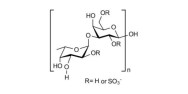Galactofucan polysaccharide...