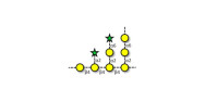 Sulfated Arabinogalactan...