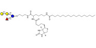 α-3-Galactosyl-3-Fucosyllac...