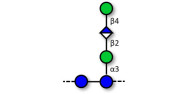 Xanthan gum polysaccharide