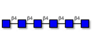 Chitinhexaose DP6 (>90% HPLC)