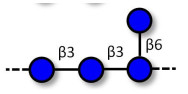 Scleroglucan polysaccharide
