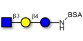 Lacto-N-Triose (LNT2) grafted on BSA - LNT2; LNTII