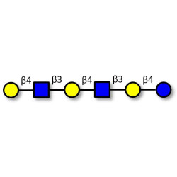 Para-Lacto-N-neohexaose (Para-LNnH) (>90% NMR)