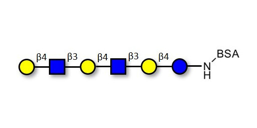 Para-Lacto-N-neohexaose (Para-LNnH) grafted on BSA