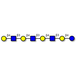 Lacto-N-neooctaose (LNnO) (>90% NMR)