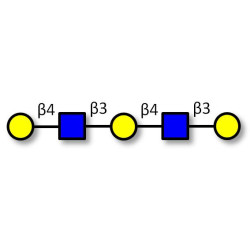 Galacto-N-neopentaose (>90% NMR)