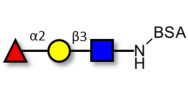 Blood group H antigen...