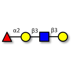 Blood group H antigen tetraose type 1 (>90% NMR)