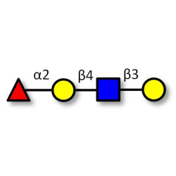 Blood group H antigen tetraose type 2 (>90% NMR)