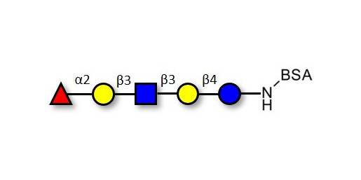 Lacto-N-fucopentaose I (LNFP I) / Blood group H antigen pentaose type 1 grafted on BSA