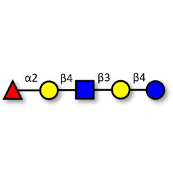 Blood group H antigen pentaose type 2 / Lacto-N-neofucopentaose I (LNnFP I) (>90% NMR)
