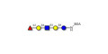Blood group H antigen pentaose type 2 / Lacto-N-neofucopentaose I (LnNFP I) grafted on BSA
