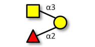 Blood group A antigen...