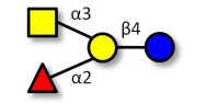 Blood group A antigen...