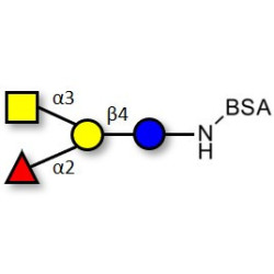 Blood group A antigen tetraose type 6 grafted on BSA