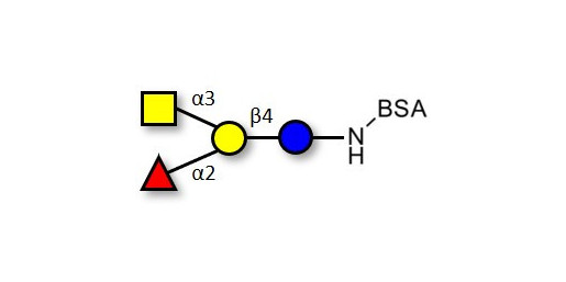 Blood group A antigen tetraose type 6 grafted on BSA