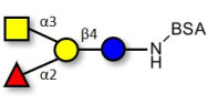 Blood group A antigen...