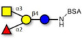 Blood group A antigen tetraose type 6 grafted on BSA