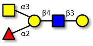 Blood group A antigen...