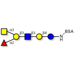 Blood group A antigen hexaose type 1 grafted on BSA