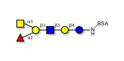 Blood group A antigen hexaose type 1 grafted on BSA